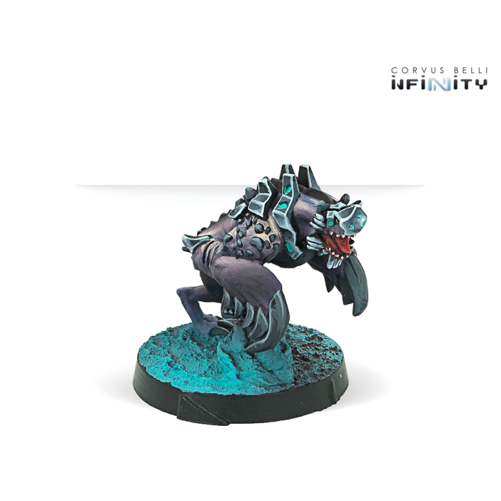 Infinity (Corvus Belli) - Taigha Creatures