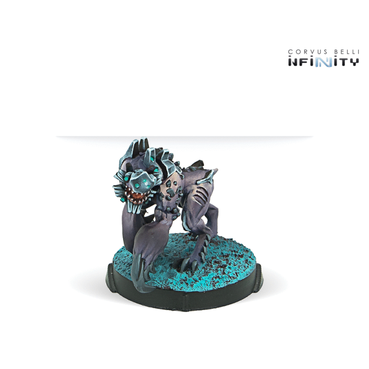 Infinity (Corvus Belli) - Taigha Creatures