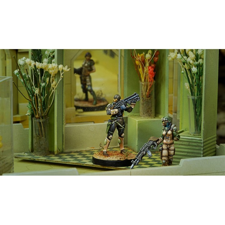 Infinity (Corvus Belli) - Hassassin Farzans (Fusil d'Abordage, Contender)