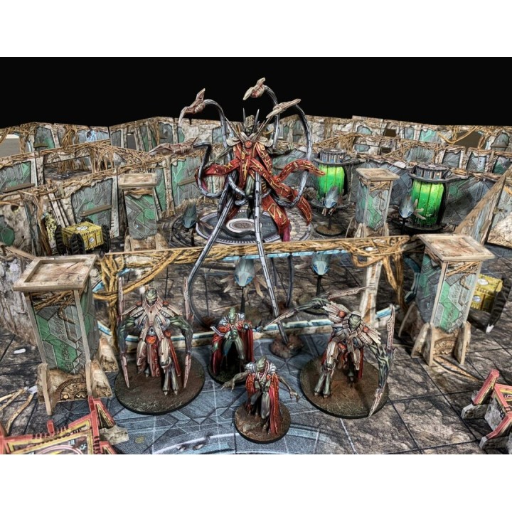 First Born - Fury of Insane God (extension VF)