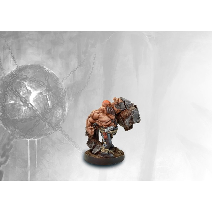 Figurines de Magic Retinue du Dweghom pour Conquest (para Bellum Wargames)