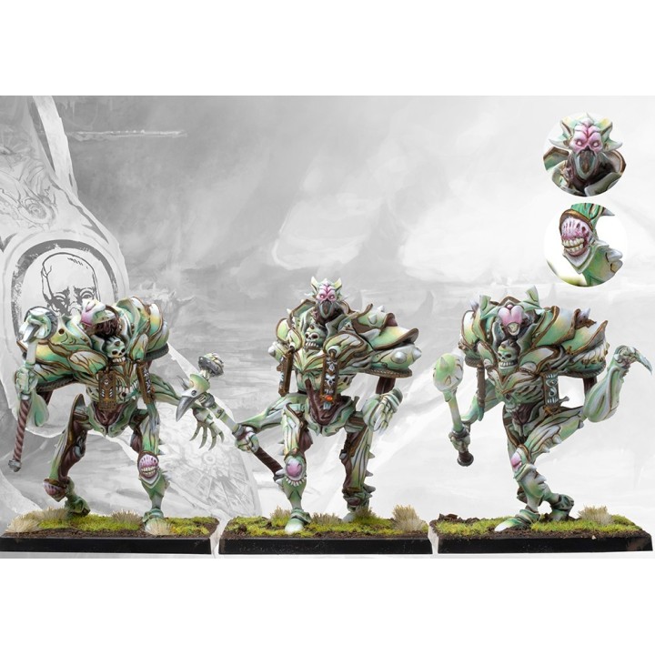 Les figs d'Incarnate Sentinels en plastique pour les Spires de Conquest