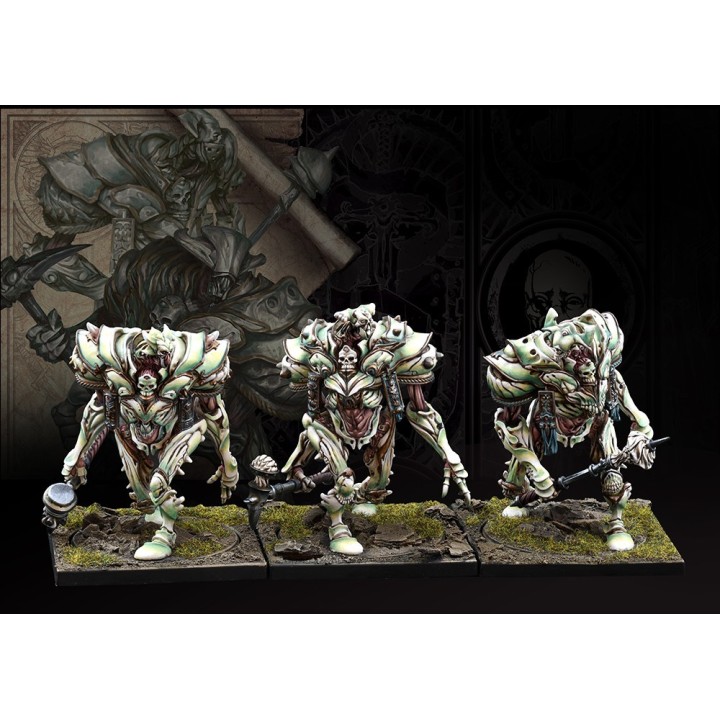 Figurines d'Incarnate Sentinel pour les Spires de Conquest (Para Bellum)