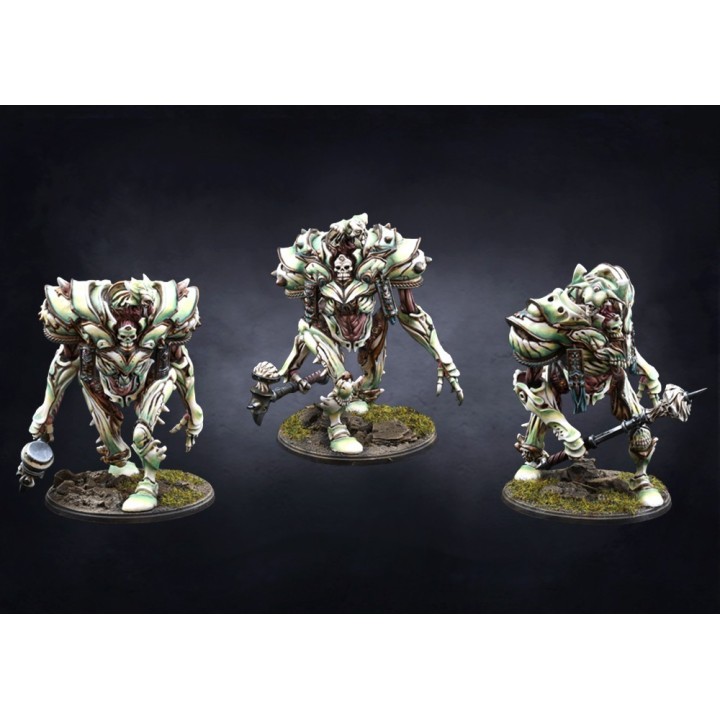 Figurines d'Incarnate Sentinel pour les Spires de Conquest (Para Bellum)