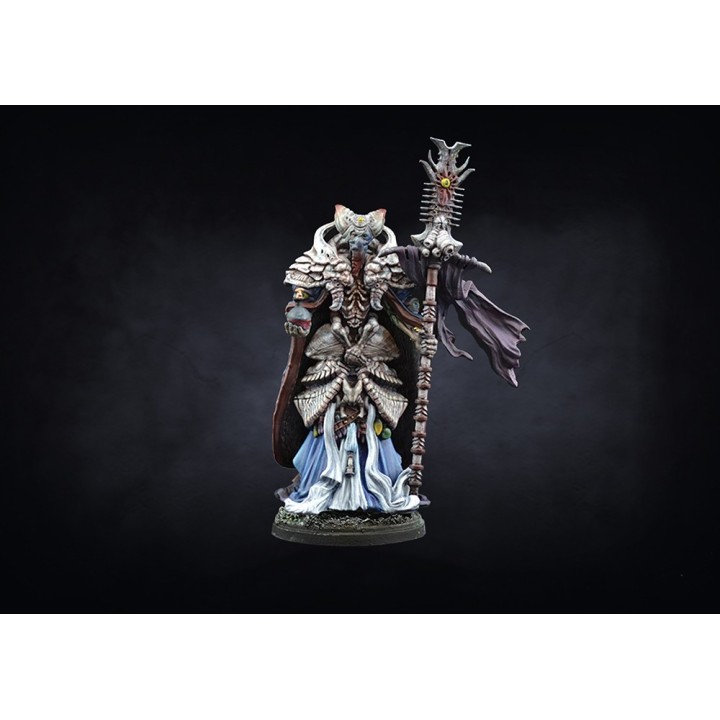 Figurine de Biomancer pour les Spires de Conquest
