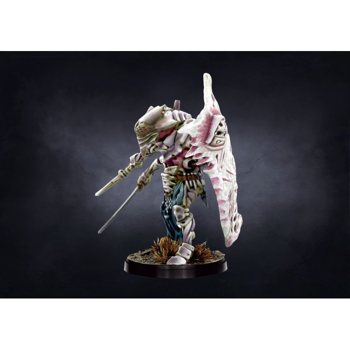 Figurine de Ward Preceptor des Spires pour Conquest (Para Bellum)
