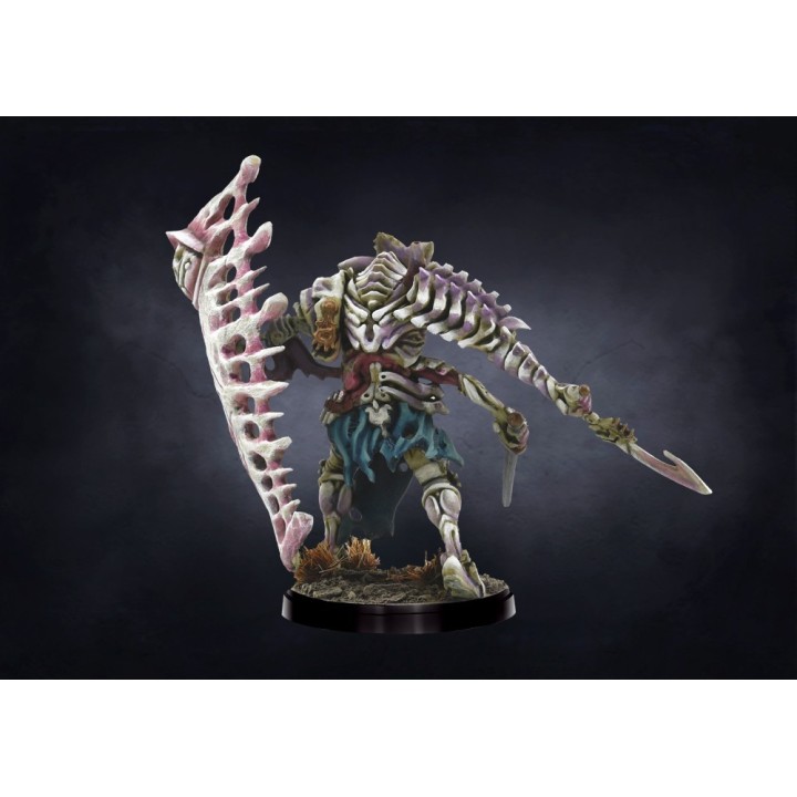 Figurine de Ward Preceptor des Spires pour Conquest (Para Bellum)