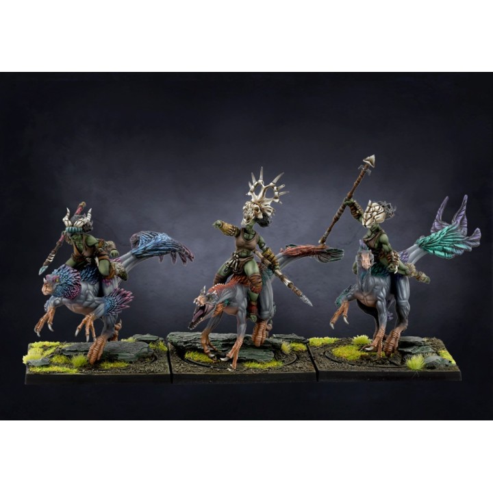 Figurines de Raptor Riders W'adrhun pour Conquest