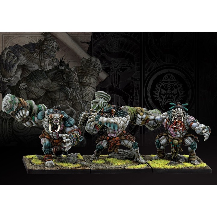 Figurines de Warbred pour les W'ahdrun de Conquest (Para Bellum Wargames)
