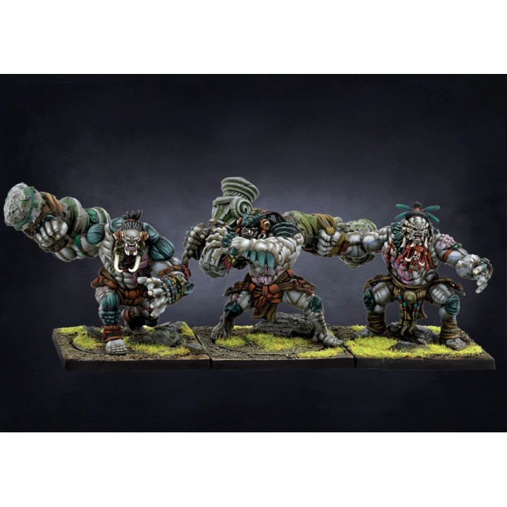 Figurines de Warbred pour les W'ahdrun de Conquest (Para Bellum Wargames)