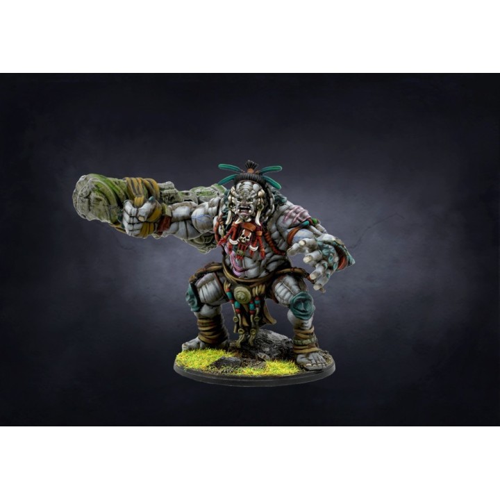 Figurines de Warbred pour les W'ahdrun de Conquest (Para Bellum Wargames)