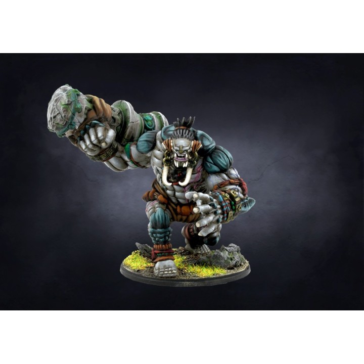 Figurines de Warbred pour les W'ahdrun de Conquest (Para Bellum Wargames)