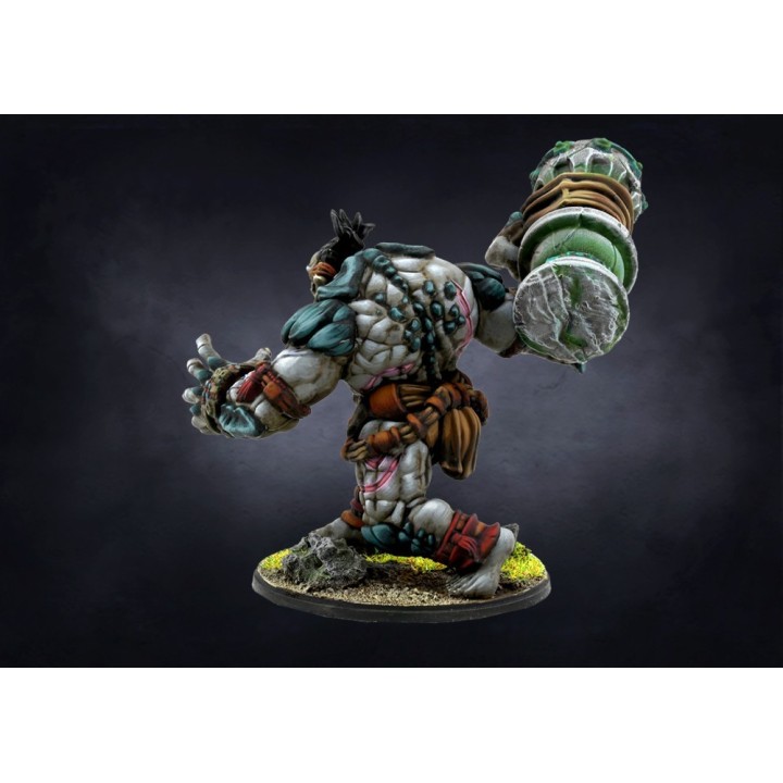Figurines de Warbred pour les W'ahdrun de Conquest (Para Bellum Wargames)