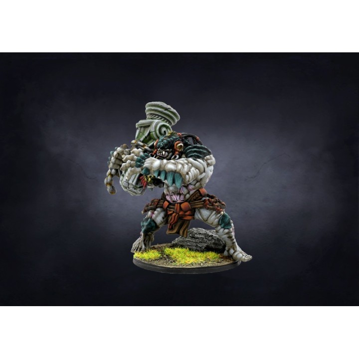 Figurines de Warbred pour les W'ahdrun de Conquest (Para Bellum Wargames)