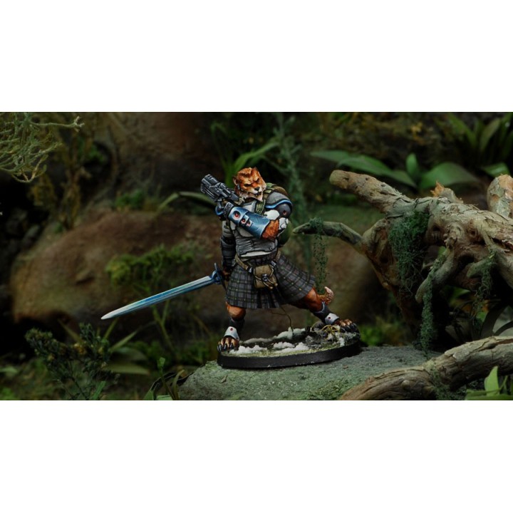 Infinity (Corvus Belli) - Mac Murrough