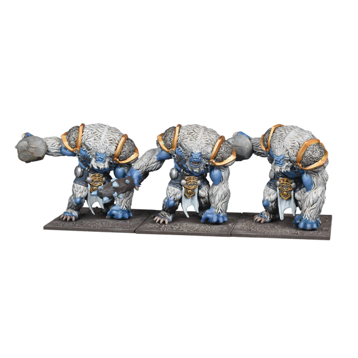 Méga Armée de l'Alliance du Nord pour Kings of War