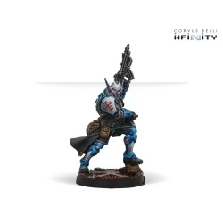 Infinity - Dire Foes Mission Pack 12 : Troubled Theft