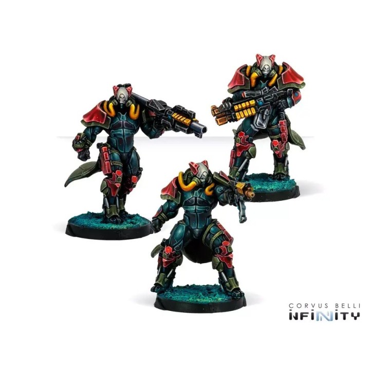 Infinity (Corvus Belli) - Rodoks, Morat Armed Imposition Detachment