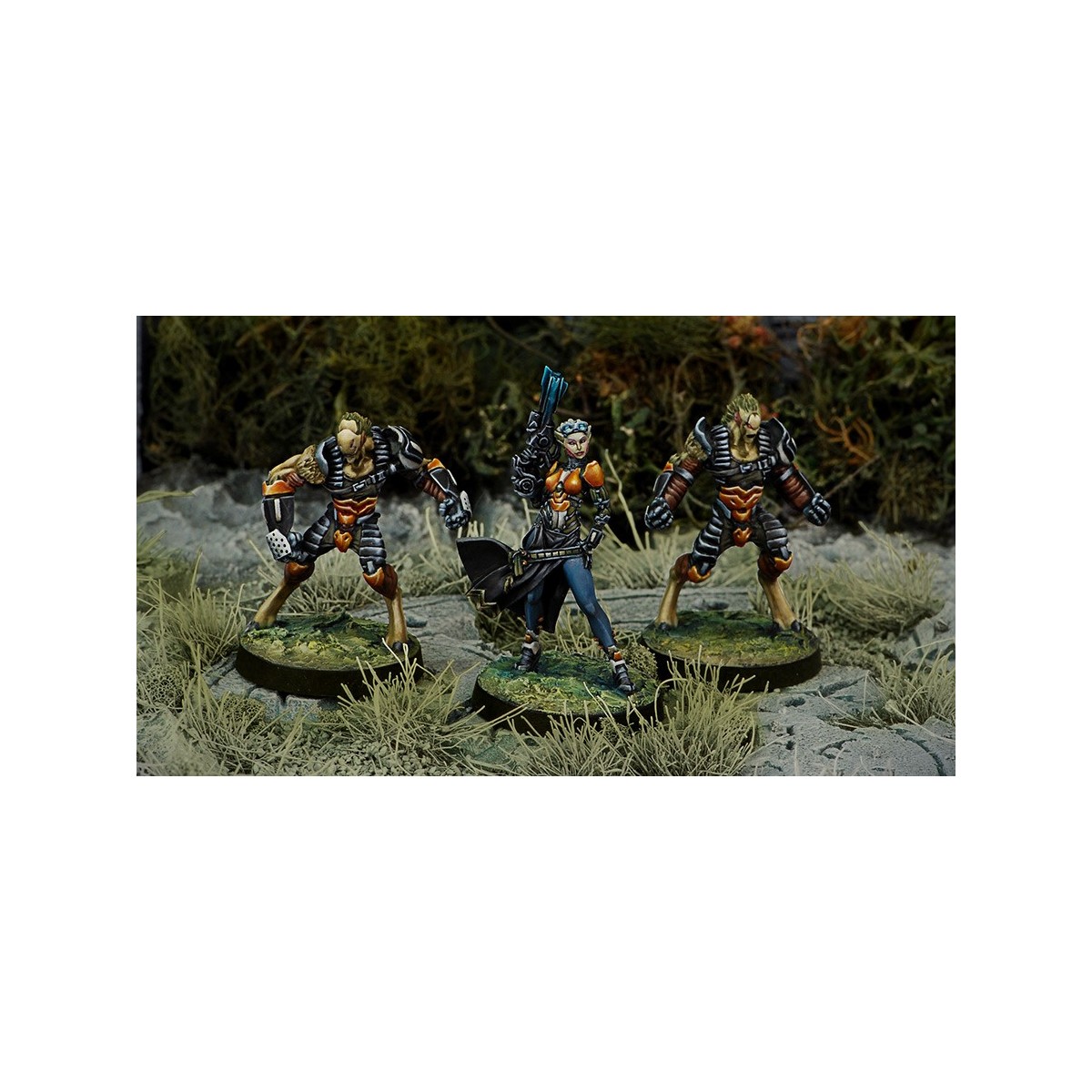 Infinity (Corvus Belli) - Tohaa Support Pack