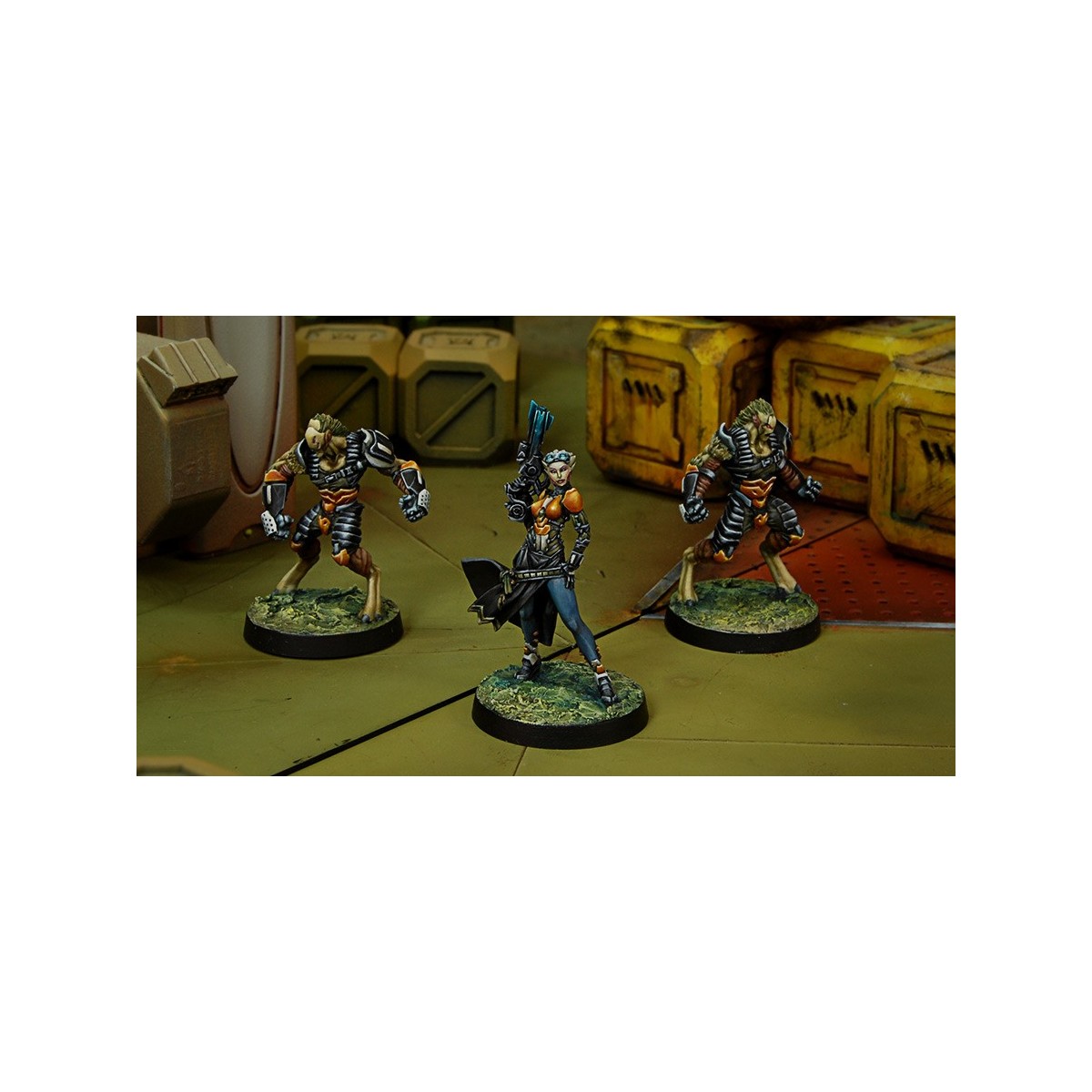 Infinity (Corvus Belli) - Tohaa Support Pack