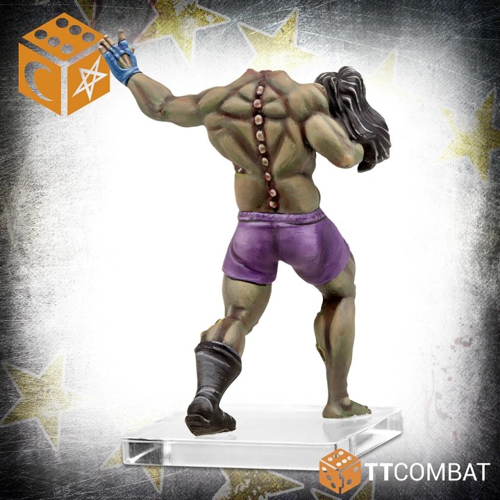 Figurine du Dead of Winter pour Rumbleslam (TT Combat)