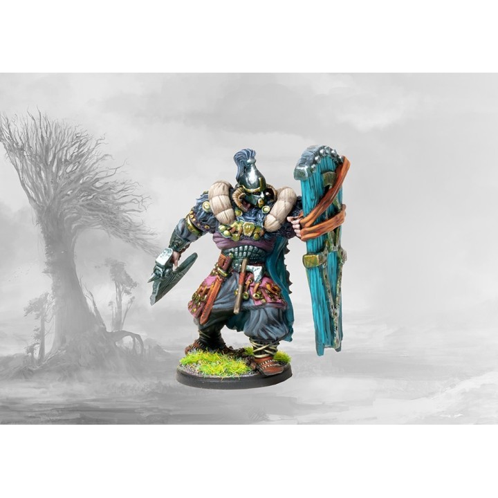 Figurines de Thegn des Nords pour Conquest