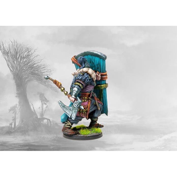 Figurines de Thegn des Nords pour Conquest