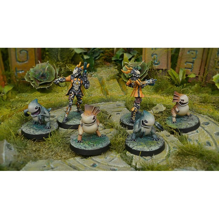 Infinity (Corvus Belli) - Kaeltar Specialists