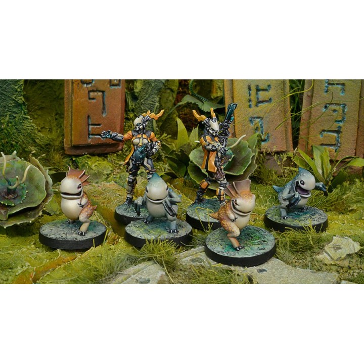 Infinity (Corvus Belli) - Kaeltar Specialists