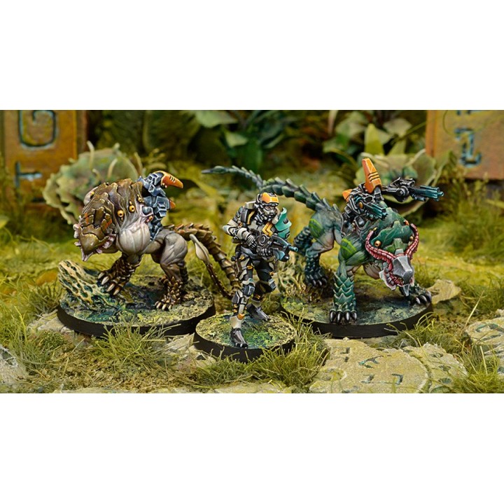 Infinity (Corvus Belli) - Kerail Preceptors