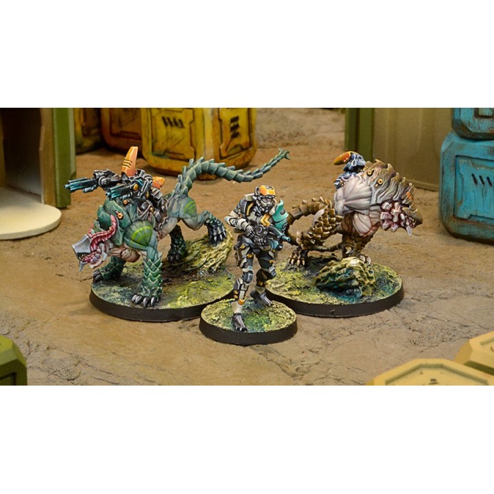 Infinity (Corvus Belli) - Kerail Preceptors