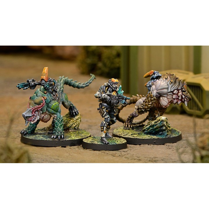 Infinity (Corvus Belli) - Kerail Preceptors