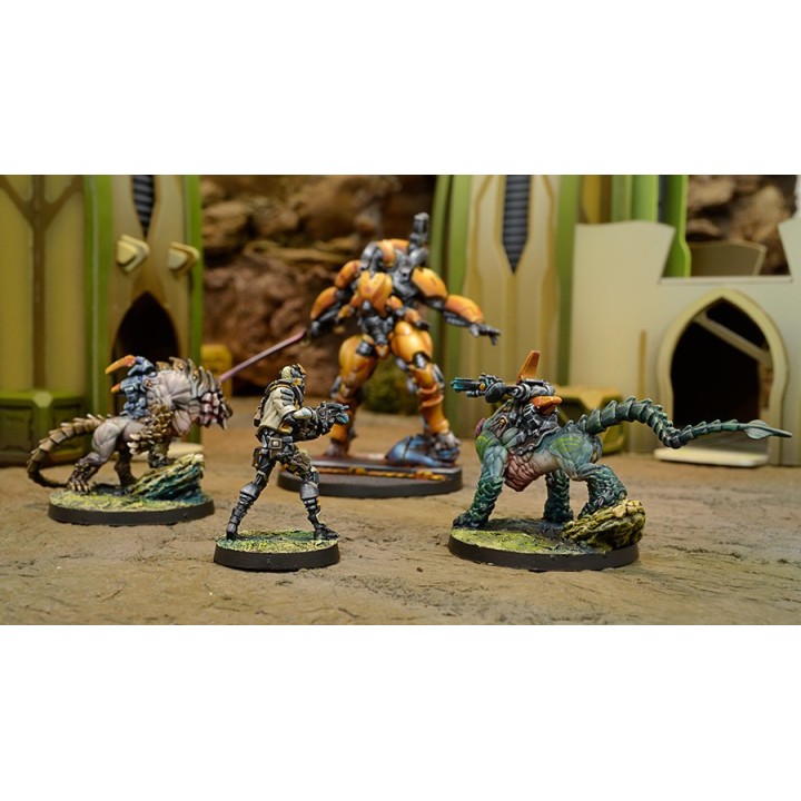 Infinity (Corvus Belli) - Kerail Preceptors