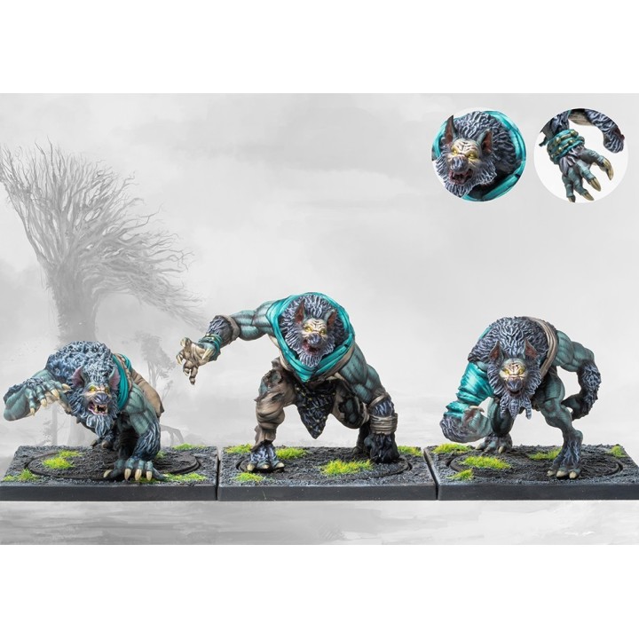 Figurines du Werewargs pour les Nords à Conquest (Para Bellum)