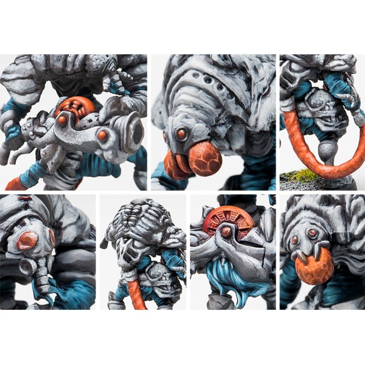 Figurines de Desolation Drones des Spires pour Conquest (Para Bellum)