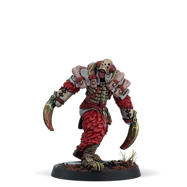 Warcrow - Song of the Dormant (VF)