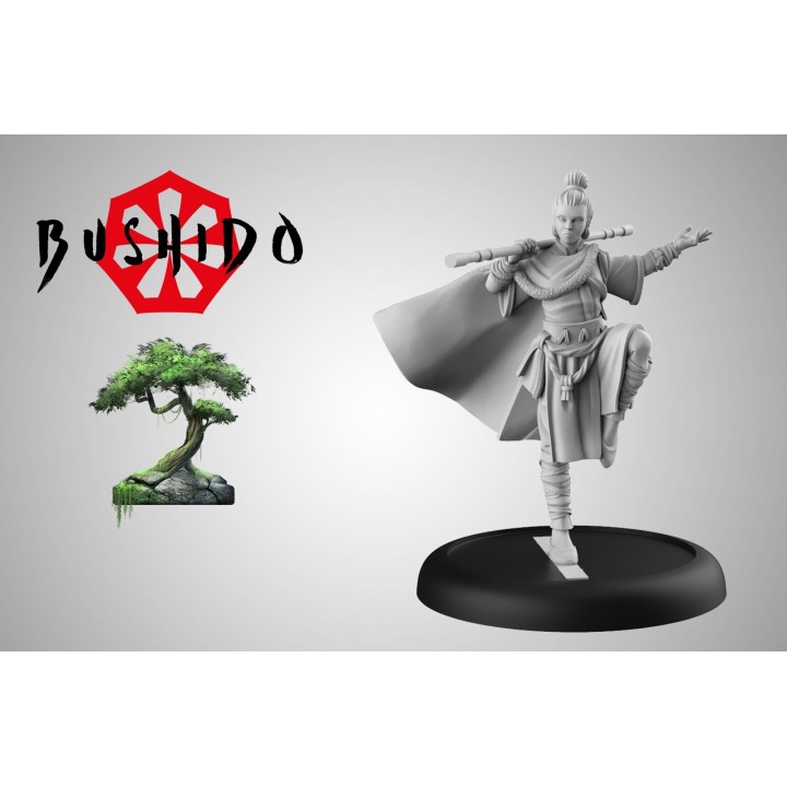 Bushido - Hiko, Moine Errant (FR + ENG)