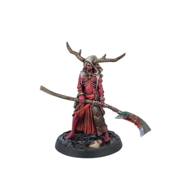 Warcrow - Marked (FR + ENG)