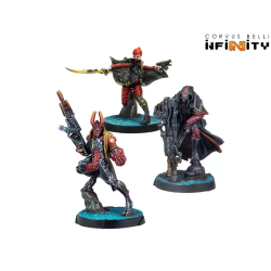 Infinity Shasvastii Expansion Pack Delta Corvus Belli Armée Combinée
