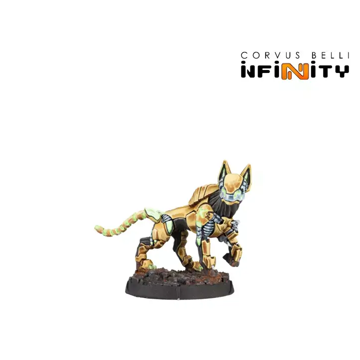 Infinity - Gui-Feng Spec-Ops