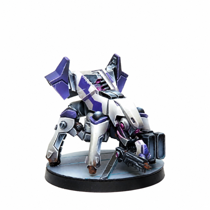 ALEPH Rebot Remotes Pack | Infinity - Fighouse