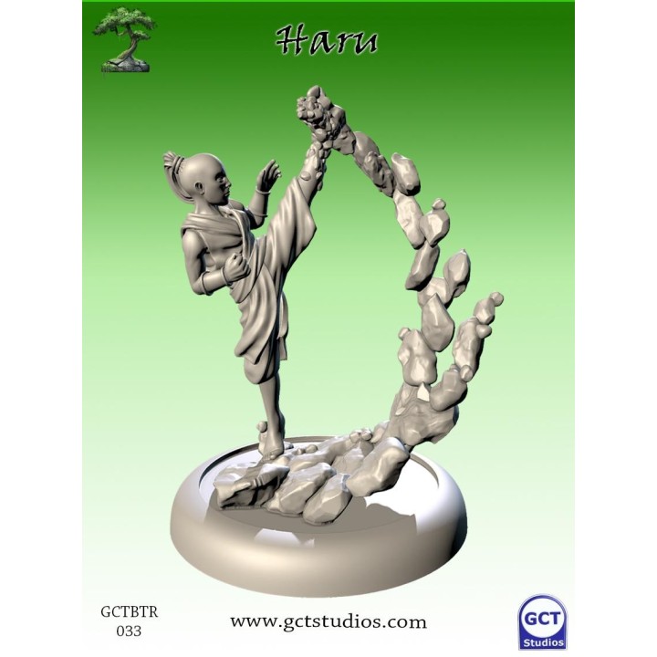 Bushido the Game - Haru