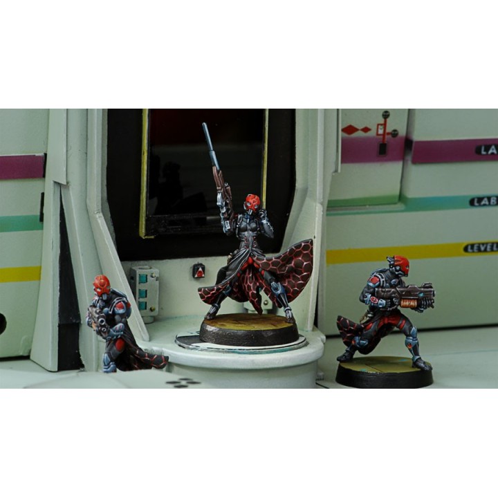 Infinity (Corvus Belli) - Hexas (Sniper MULTI)