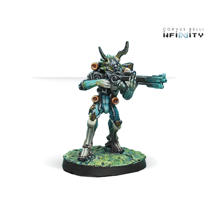 Infinity - Kaauri Sentinels Pack