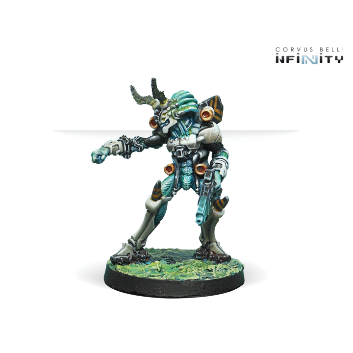 Infinity - Kaauri Sentinels Pack