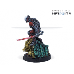 Infinity - Ninjas (Submachine gun, tactical bow)
