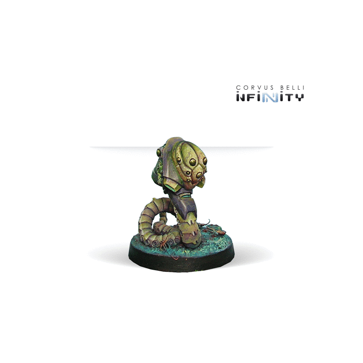 Infinity - Combined Army Support Pack