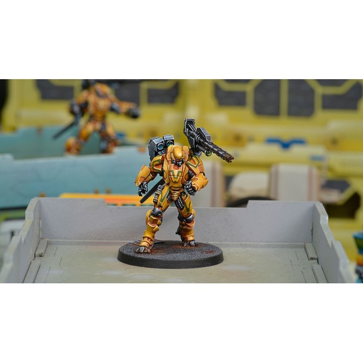 Infinity (Corvus Belli) - Yan Huo Invincibles (HMC)
