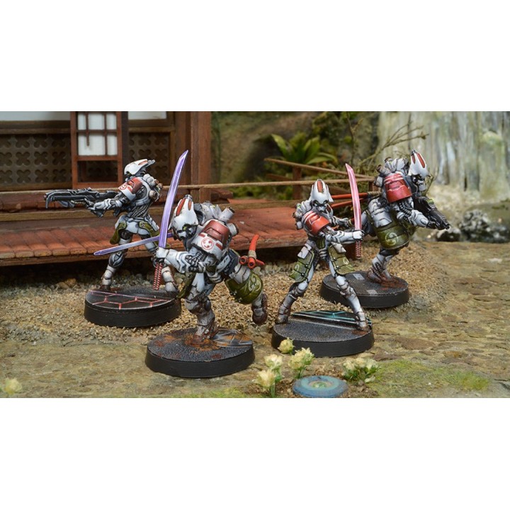 Infinity (Corvus Belli) - Domaru Butai pack