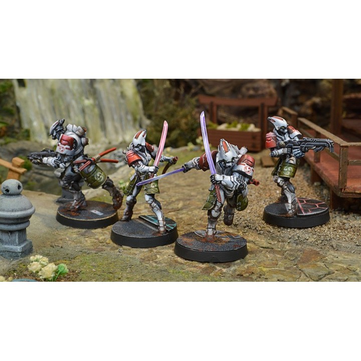 Infinity (Corvus Belli) - Domaru Butai pack
